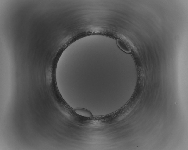 X0000111440496200908101017