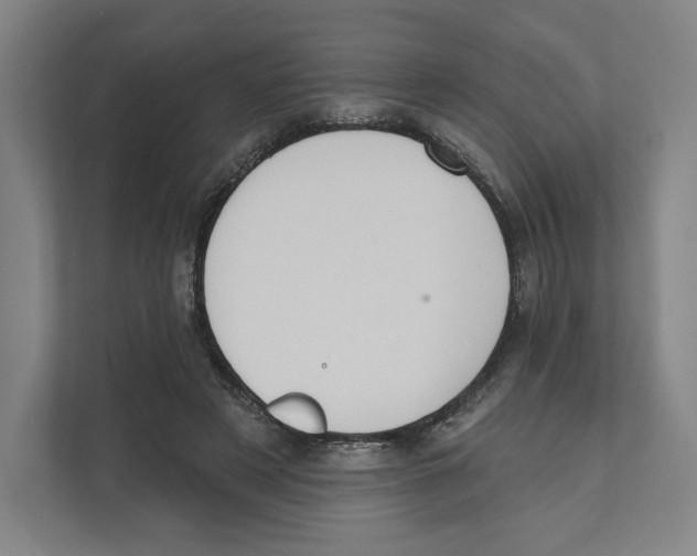 X0000111440497200908101017