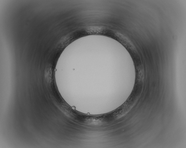 X0000111440498200908101017