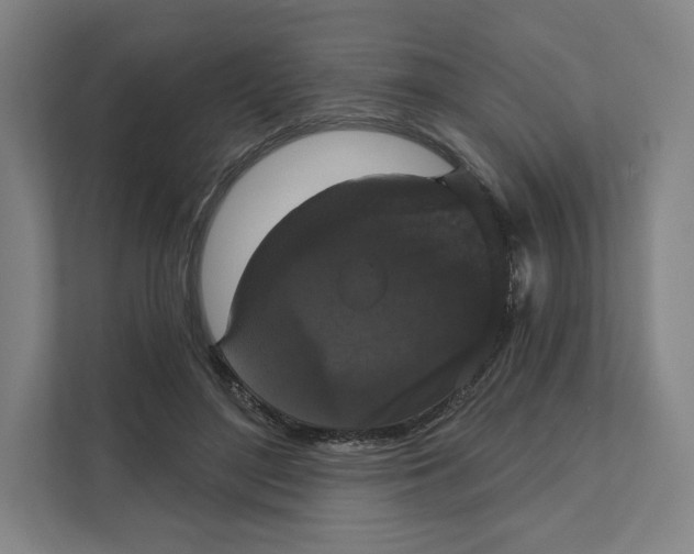 X0000111440500200908101017