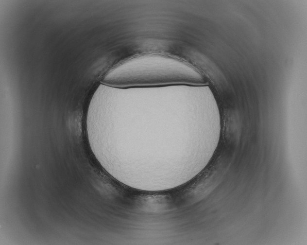 X0000111440501200908101017