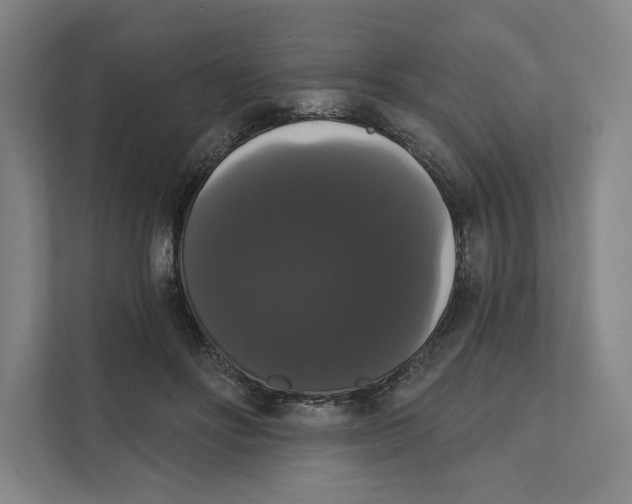 X0000111440502200908101017