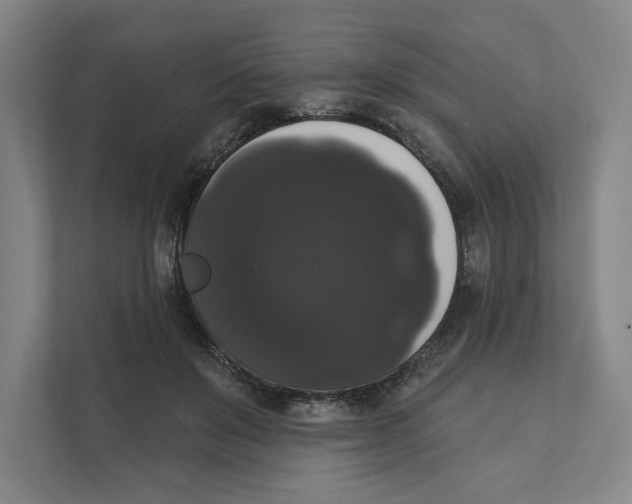 X0000111440503200908101017