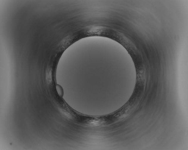 X0000111440504200908101017