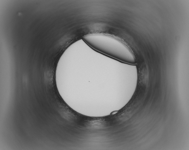 X0000111440505200908101017