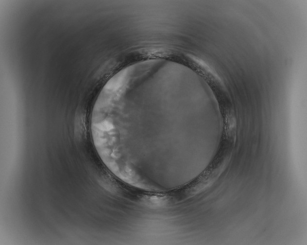 X0000111440506200908101017