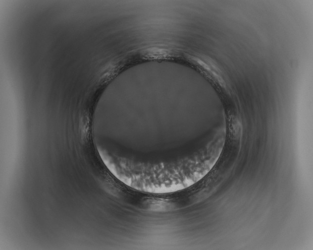 X0000111440507200908101017