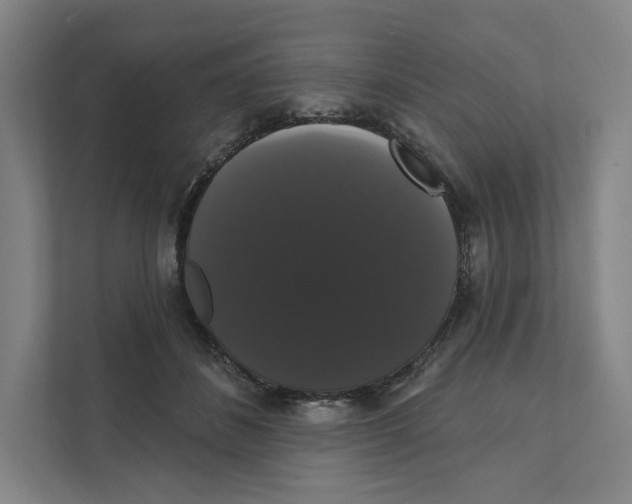 X0000111440508200908101017