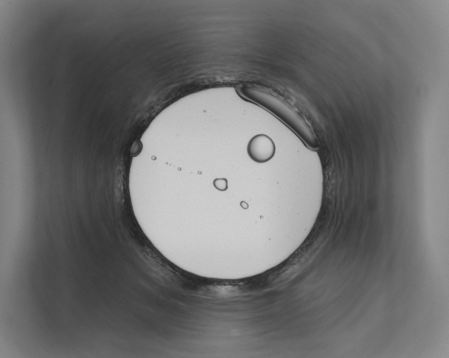 X0000111440509200908101017