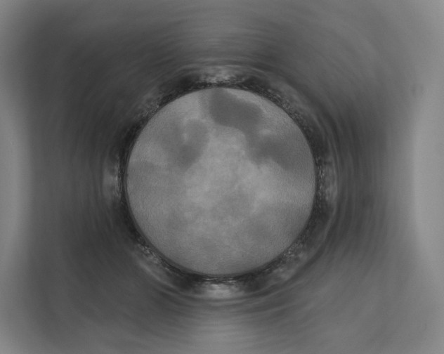 X0000111440510200908101017