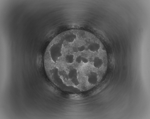 X0000111440511200908101017