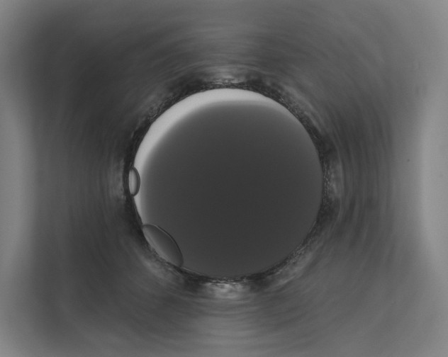 X0000111440512200908101017