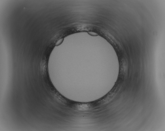 X0000111440513200908101017