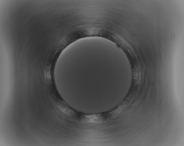 X0000111440516200908101017