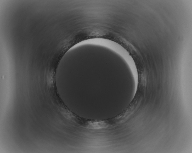 X0000111440517200908101017