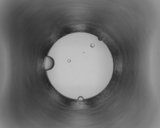 X0000111440518200908101017