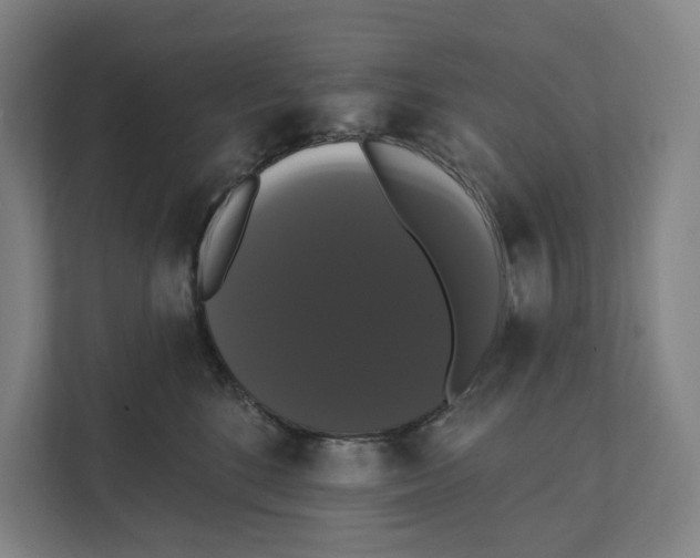 X0000111440520200908101017