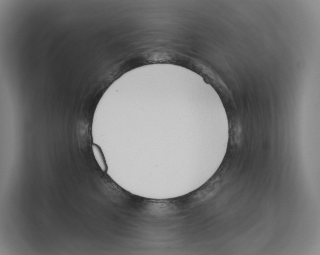 X0000111440521200908101017