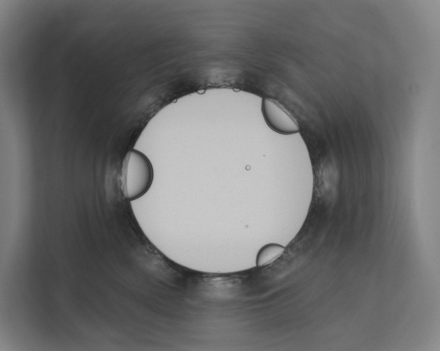 X0000111440522200908101017