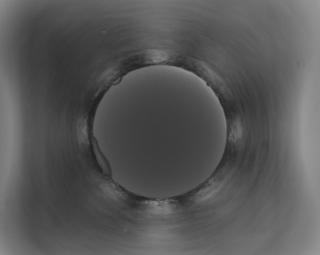 X0000111440524200908101017