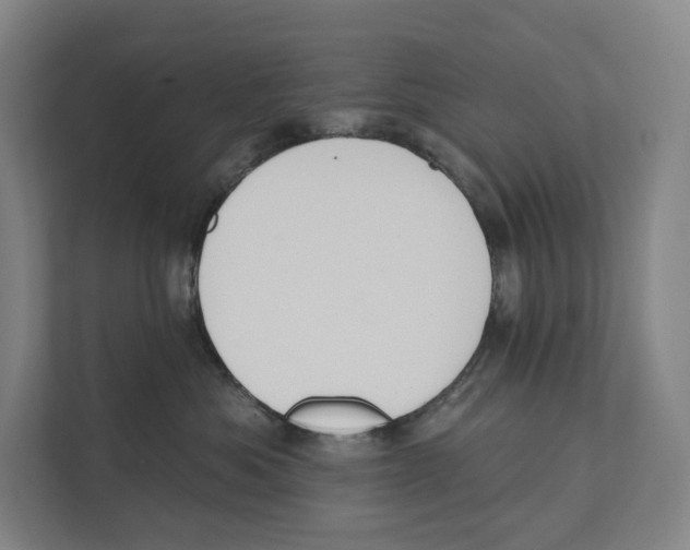 X0000111440525200908101017