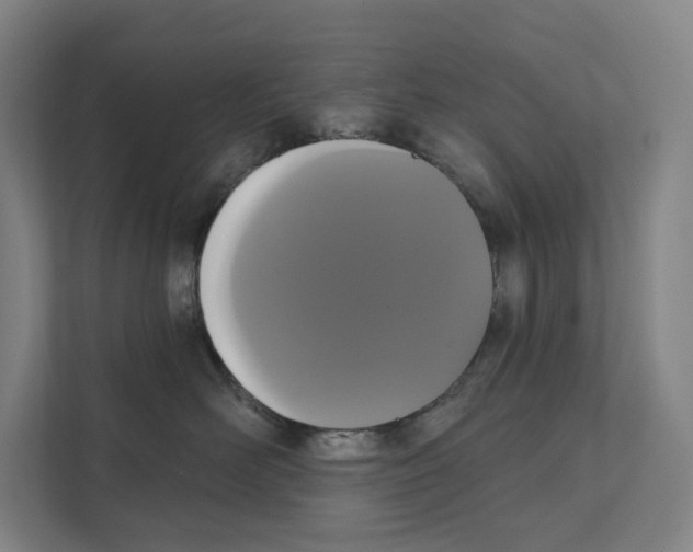 X0000111440526200908101017