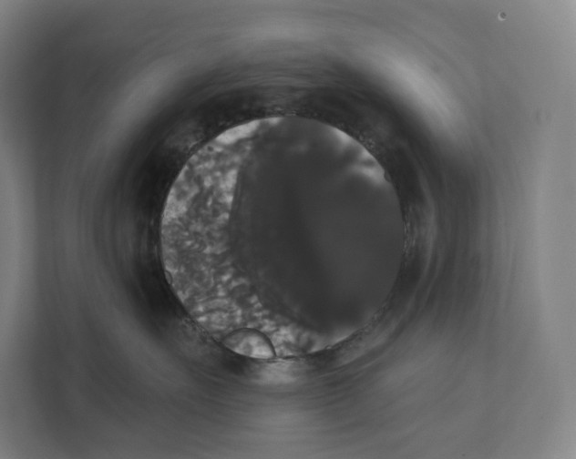 X0000111440527200908101017