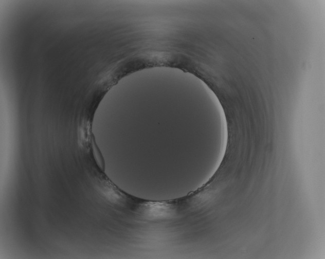 X0000111440528200908101017