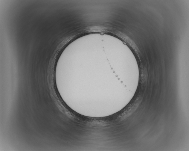 X0000111440529200908101016