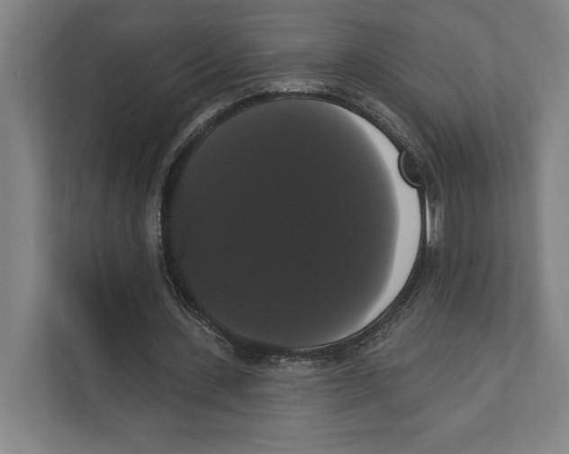 X0000111440531200908101016