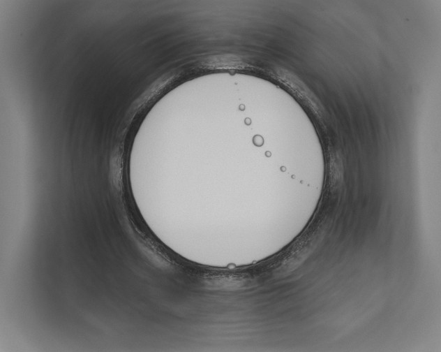 X0000111440533200908101016