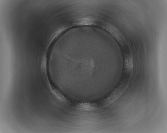 X0000111440534200908101016