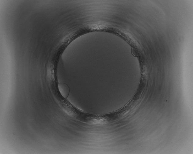 X0000111440547200908101016