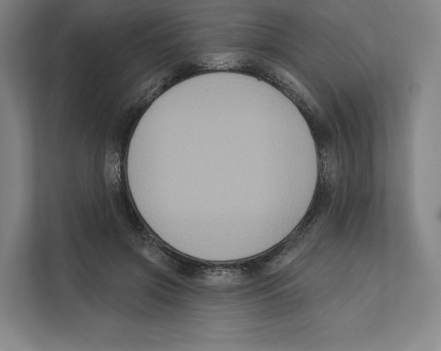 X0000111440549200908101017