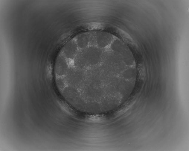 X0000111440550200908101017