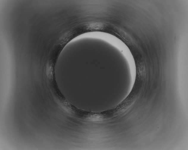 X0000111440551200908101017