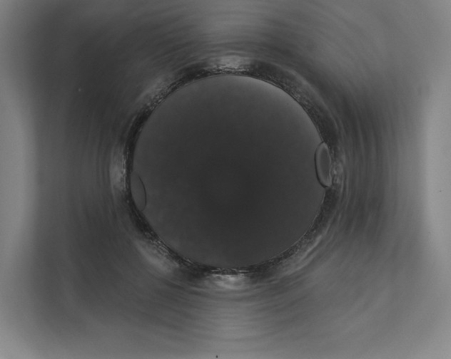 X0000111440552200908101017