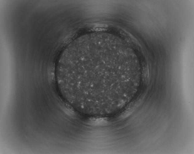 X0000111440553200908101017