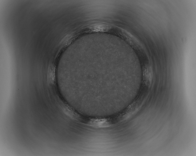 X0000111440554200908101017