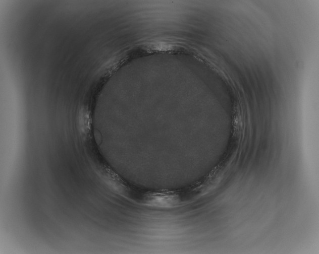 X0000111440555200908101017