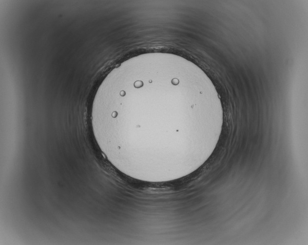 X0000111440556200908101017