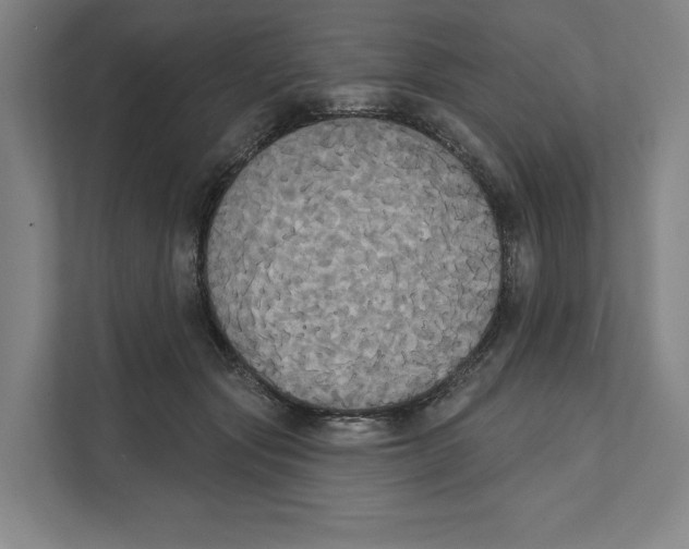 X0000111440557200908101017