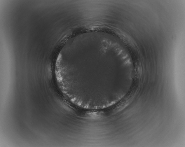 X0000111440558200908101017