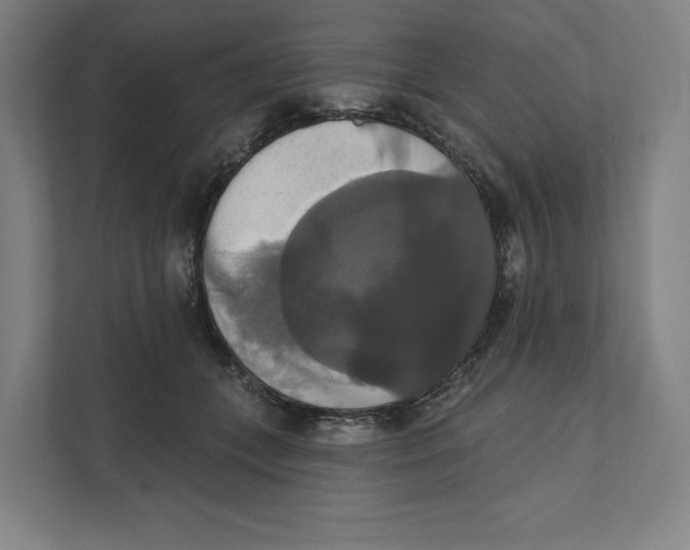 X0000111440559200908101017