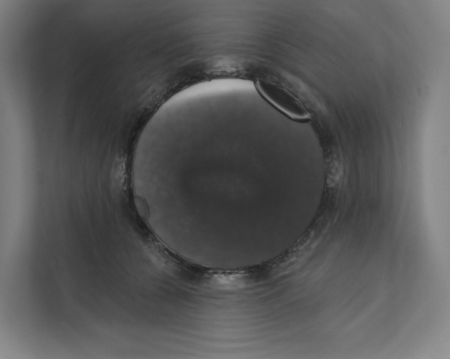 X0000111440560200908101017