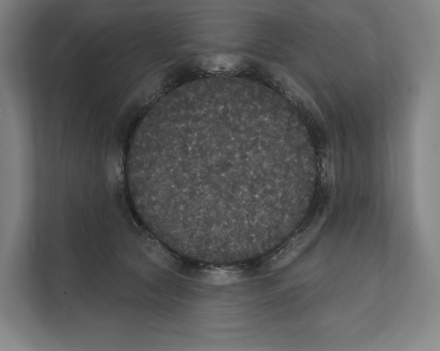 X0000111440561200908101017