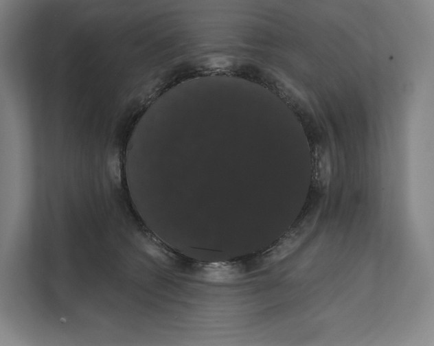 X0000111440562200908101017