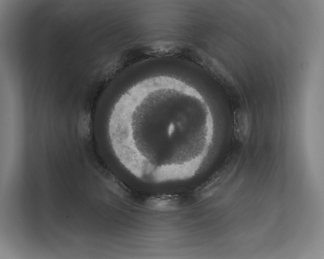 X0000111440563200908101017