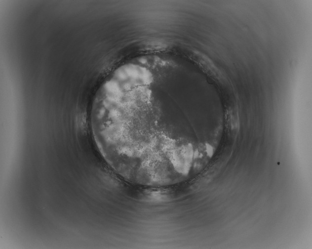 X0000111440564200908101017