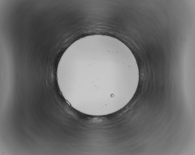 X0000111440566200908101017